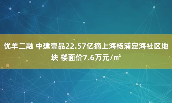优羊二融 中建壹品22.57亿摘上海杨浦定海社区地块 楼面价7.6万元/㎡