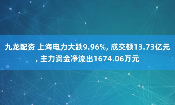 九龙配资 上海电力大跌9.96%, 成交额13.73亿元, 主力资金净流出1674.06万元