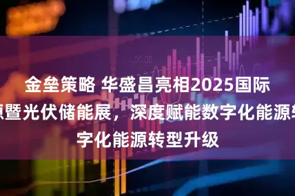 金垒策略 华盛昌亮相2025国际数字能源暨光伏储能展，深度赋能数字化能源转型升级