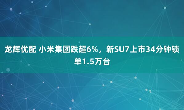 龙辉优配 小米集团跌超6%，新SU7上市34分钟锁单1.5万台